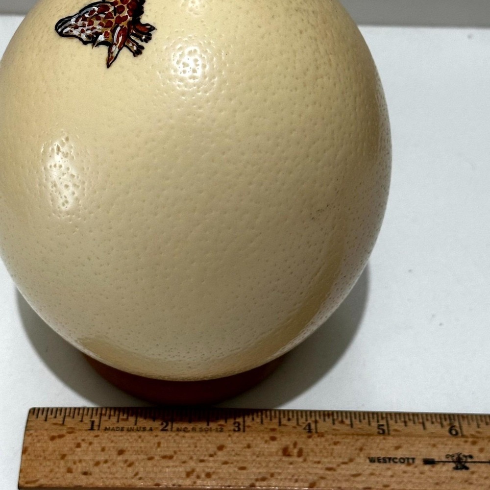 Hand-Painted Ostrich Egg Art "Giraffe and Foal" by Monica Wilson – South Africa - Picture 6 of 10